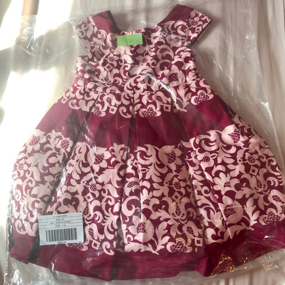 Beautiful Janie And Jack Dress ❤️️❤️️❤️️ - Picture 2 of 4